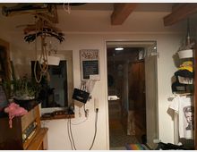 Ein Innenraum eines Wohnraums mit sichtbarem Holzbalken an der Decke, einer Tür aus Glas, und dekorativen Elementen wie hängenden Pflanzen, einem kleinen Regal mit Kleidung und einer Tafel an der Wand. Im Vordergrund stehen ein Holzschrank mit einem alten Radio und mehrere Pflanzen auf der Fensterbank.