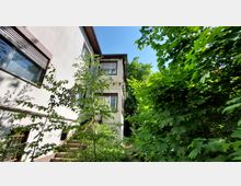 Seitenansicht eines Gebäudes mit weißer Fassade und schmalen Fenstern mit Jalousien, umgeben von dichtem grünen Laub und kleinen Bäumen. Im Vordergrund führt eine Treppe durch bewachsene Vegetation.