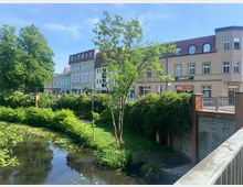 Eine Flusslandschaft mit Uferbepflanzung und Seerosen, im Hintergrund eine Reihe von Häusern mit Geschäften, darunter ein Subway-Restaurant. Die Umgebung ist von Bäumen und Grünflächen geprägt, der Himmel ist klar und blau.