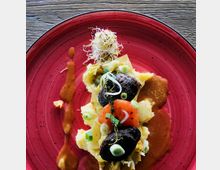 Nahaufnahme eines Gerichts auf einem roten Teller. Zu sehen sind Kartoffelpüree, schwarze Fleischstücke, Karottenscheiben, Lauchzwiebeln und eine braune Soße, garniert mit frischen Kräutern und Sprossen. Der Hintergrund besteht aus einer Holzoberfläche.