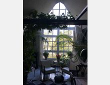 Wohnzimmer mit großer Fensterfront und Dachfenster, durchflutet von Tageslicht. Der Raum ist mit Zimmerpflanzen, einem Hängesessel, zwei Sesseln, einem kleinen Tisch mit Blumen und weiteren Möbeln eingerichtet.