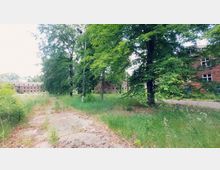 Verlassener Außenbereich mit dichtem Bewuchs aus Gras und Bäumen, im Hintergrund mehrere alte Backsteingebäude mit teilweise zerstörten Fenstern. Ein schmaler Gehweg führt durch die Szenerie, und vereinzelte Straßenlaternen sind sichtbar.