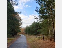 Ein asphaltierter Weg führt durch einen Wald mit Kiefern und Laubbäumen, begleitet von vereinzelten Straßenlaternen. Der Himmel ist teils bewölkt mit einigen blauen Stellen.