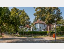 Straßenkreuzung in einem ruhigen Wohnviertel mit Kopfsteinpflaster, flankiert von hohen Bäumen. Im Hintergrund steht ein weißes Wohnhaus mit rotem Satteldach, umgeben von grünen Hecken und einem Holzzaun.