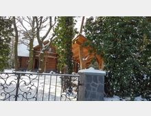 Holzhaus in Blockbauweise, umgeben von verschneiten Bäumen und immergrünen Pflanzen; im Vordergrund ein verschneites Metalltor und ein gemauerter Pfeiler. Links davon eine überdachte Holzstruktur an Bäumen befestigt.