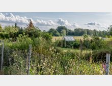 Ein ländlicher Garten mit einem kleinen Gewächshaus, umgeben von verschiedenen Pflanzen und einem Maschendrahtzaun. Im Hintergrund sind Wiesen und Bäume unter einem bewölkten Himmel zu sehen.