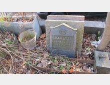 Ein kleiner, verwilderter Grabstein aus dunklem Stein mit eingraviertem Namen und Daten, umgeben von vertrocknetem Laub, wild wachsenden Pflanzen und alten Objekten wie einem metallenen Eimer und einer Glasflasche. Im Hintergrund sind Reste einer Betonumrandung und ein parkendes Auto sichtbar.