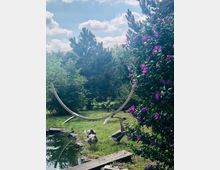 Ein Garten mit einem kleinen Teich im Vordergrund, umgeben von Bäumen und Sträuchern. Drei Gänse stehen auf dem grünen Rasen, daneben blühender Strauch mit lilafarbenen Blumen; im Hintergrund ein Holzgestell in Bogenform.