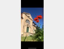 Gelbes historisches Gebäude mit verzierten weißen Fassadenelementen und grüner Doppeltür, aufgenommen aus niedriger Perspektive. Im Vordergrund stehen rote Mohnblumen und Gras, während der Himmel strahlend blau ist.