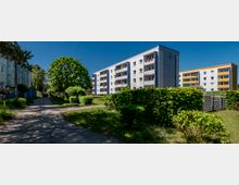 Wohnsiedlung mit mehrstöckigen, hellen Plattenbau-Mehrfamilienhäusern und Balkonen, umgeben von Grünflächen, Hecken und Bäumen. Ein gepflasterter Fußweg führt zwischen den Gebäuden durch die Anlage unter blauem Himmel.