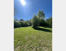 Grüne Wiese mit vereinzelten gelben Blumen, umgeben von dichten Büschen und hohen Bäumen unter klarem, blauem Himmel. Die Sonne steht hoch am Himmel und strahlt hell, während ein Kondensstreifen eine Linie durch den Himmel zieht.