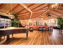 A warm and modern restaurant interior with wooden flooring, coral-toned seating, and tables set with glassware. The space features a high ceiling with exposed beams, decorative hanging lights, large windows offering natural light, potted plants, and cactus accents throughout.