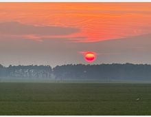Weite Wiesenlandschaft mit einem tiefstehenden orange-roten Sonnenuntergang am Horizont. Im Hintergrund ist eine Baumreihe vor einem leicht nebligen Himmel zu sehen, der in warmen Rot- und Orangetönen gefärbt ist.