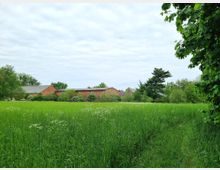 Eine weitläufige grüne Wiese mit hohem Gras, gesäumt von Bäumen und Sträuchern, im Hintergrund einige Ziegelgebäude mit flachen Dächern. Bewölkter Himmel bedeckt die Szenerie.