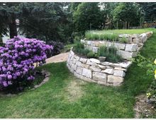 Ein terrassierter Garten mit niedrigen Trockenmauern aus hellen Steinen, bepflanzt mit Lavendel und anderen Kräutern. Daneben befindet sich ein blühender Rhododendron mit lila Blüten, umgeben von einer Rasenfläche und Bäumen im Hintergrund.