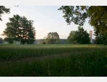Weite Wiese mit hohen Gräsern, umgeben von Bäumen, im Hintergrund eine historische Backsteinturmstruktur, teilweise von Bäumen verdeckt. Der Himmel ist klar mit leichtem Abendlicht.