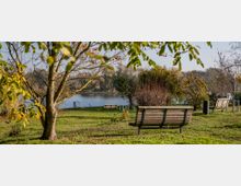 Parklandschaft mit mehreren Holzbänken auf einer grünen Wiese, umgeben von Bäumen und Sträuchern im Herbst. Im Hintergrund ist ein ruhiger Fluss mit weiterer Vegetation zu sehen.
