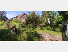 Ein Garten mit hohem Gras, Büschen und vereinzelten Bäumen, im Hintergrund ein Haus mit rotem Satteldach. Auf Baumstümpfen stehen Pflanztöpfe, und der Garten ist von einem Zaun begrenzt.