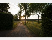 Ein Parkweg mit feinem Kies verläuft zwischen jungen Bäumen, die lange Schatten werfen. Im Hintergrund ist der Sonnenuntergang sichtbar, umgeben von Wiesen und dichtem Grün.