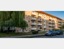 Wohngebäude mit mehreren Etagen und Balkonen in einer ruhigen Wohngegend, umgeben von grünen Rasenflächen und Bäumen, darunter eine große Trauerweide. Am Straßenrand stehen mehrere geparkte Autos auf einem gepflasterten Weg.