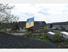 Ansicht eines landwirtschaftlichen Hofes mit mehreren grauen Scheunen, einem Gewächshaus und einer Wiese mit Bäumen und Beeten im Vordergrund. Eine ukrainische Flagge weht auf einem Mast in der Mitte des Bildes.