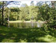 Ruhige Parklandschaft mit einem kleinen Teich in der Mitte, umgeben von Bäumen und dichter Vegetation. Im Vordergrund befindet sich eine grasbewachsene Fläche, die sanft zum Teich abfällt.