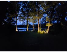 Waldgebiet bei Dämmerung mit mehreren beleuchteten Bäumen im Vordergrund und einem Blick auf einen ruhigen See im Hintergrund. Die Atmosphäre wird durch die künstliche Beleuchtung und den dunklen Himmel bestimmt.