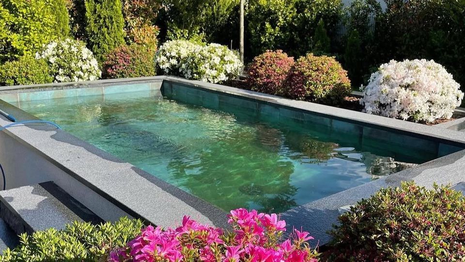 Rechteckiger Gartenpool mit grauem Rand und klarem Wasser, umgeben von dichtem Ziergarten mit blühenden Sträuchern und Bäumen. Im Hintergrund sind weitere Grünflächen und ein modernes, weißes Gebäude zu sehen.