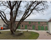 Backsteinbau mit grünen Türen und Fenstern in einem Hof mit gepflastertem Weg und Rasenfläche. Im Vordergrund steht ein großer, unbelaubter Baum mit einer runden Sitzbank darum.