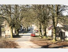 Schmale Dorfstraße mit unbelaubten Bäumen auf beiden Seiten, die eine Allee bilden. Links und rechts der Straße stehen mehrere Wohnhäuser, und am Straßenrand parken vereinzelte Autos, darunter ein auffälliger roter Wagen.
