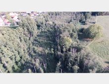 Luftaufnahme eines Waldrandes mit dicht bewachsenen Bäumen und Sträuchern, angrenzend an eine offene Wiese. Im Hintergrund sind Einfamilienhäuser mit roten Dächern in einer Siedlung zu erkennen.