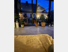 Wohnzimmer mit Blick durch eine große Fensterfront auf einen Innenhof mit beleuchtetem Haus. Im Vordergrund liegt eine beige Decke auf einem Sofa, daneben mehrere Topfpflanzen und eine Kerze; ein kleiner Hund steht vor den Fenstern.