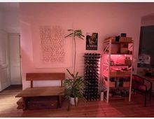 Wohnbereich mit Holzfußboden und weißer Wand. Links steht eine Holzbank mit Gepäckstücken darunter, darüber hängt eine gerahmte Kunstinstallation. Rechts befindet sich ein Metallregal mit Weinflaschen und roten Beleuchtungselementen, daneben eine große Zimmerpflanze.