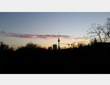 Blick auf die Silhouette des Berliner Fernsehturms bei Sonnenuntergang, umgeben von dunklen Bäumen im Vordergrund und mit einem Baukran sowie Wolken am Himmel.