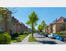 Ruhige Wohnstraße mit Reihenhäusern und geparkten Autos auf beiden Straßenseiten. Die Straße ist von jungen Bäumen gesäumt, und vor den Häusern befinden sich kleine Vorgärten mit Rasen und Hecken.