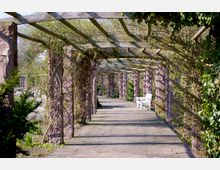 Überdachter Gehweg mit hölzerner Pergola, abgestützt durch Steinpfeiler, bewachsen mit Kletterpflanzen. Im Hintergrund steht eine weiße Bank, umgeben von grüner Vegetation.