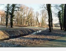 Ein Park mit vereinzelten hohen, teils efeubewachsenen Bäumen, durch den ein kleiner, schmaler Bach fließt. Der Boden ist mit Laub bedeckt, und im Hintergrund sind weitere Bäume sowie eine Holzbücke und Gebäude zu sehen.