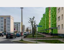 Straßenszene in einem Wohngebiet mit mehrstöckigen Wohngebäuden, darunter ein Gebäude mit auffälliger grüner Fassade. Entlang der Straße stehen Autos geparkt, und in der Mitte verläuft eine gepflasterte Gehwegfläche mit Bäumen.