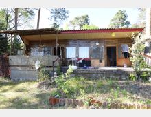 Holzhaus mit überdachter Veranda und Wellblechgeländer, umgeben von Bäumen und einer Grasfläche. Die Fassade kombiniert Holzverkleidung und Ziegelsteine, mit großen Fenstern und offenen Türen zur Veranda.