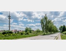 Ländliche Straße mit einer Baumreihe auf der rechten Seite, daneben vereinzelte Laternen. Links ein offenes Feld mit Büschen und Gras, im Hintergrund ein hoher Fernsehturm sowie Häuser mit roten Dächern unter einem bewölkten Himmel.