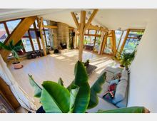 Helles Wohnzimmer mit großen, schrägen Fensterfronten aus Holzrahmen, einem Kamin aus Naturstein, einer hellen Holzfußbodenfläche und zahlreichen Topfpflanzen. Im Vordergrund ist ein Sofa mit bunten Kissen sowie ein großer Bananenbaum zu sehen.