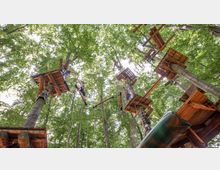 Kletterpark in einem Wald mit hohen Bäumen, auf denen Holzplattformen und Hindernisse wie Seile und Balken angebracht sind. Menschen mit Sicherheitsgurten bewegen sich zwischen den Plattformen.