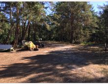 Waldlichtung mit sandigem Boden, umgeben von hohen Kiefern. Im Vordergrund liegen Gegenstände wie gestapelte Paletten, Reifen und abgedeckte Materialien; im Hintergrund dichter Wald.