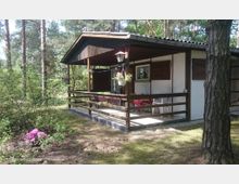 Ein kleines Ferienhaus aus Holz mit überdachter Terrasse, umgeben von Wald und dichter Vegetation. Auf der Terrasse befinden sich Gartenmöbel, ein Tisch mit Tischtuch und hängende Blumentöpfe.