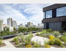 Ein moderner Dachgarten mit bepflanzten Beeten, Gehwegen und einer schwarzen Metallbrüstung. Im Hintergrund ist eine städtische Skyline mit mehreren Hochhäusern und dem Berliner Fernsehturm zu sehen.