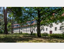 Wohngebäude mit heller Putzfassade und rotem Satteldach, umgeben von hohen Bäumen und einem grasbewachsenen Gelände mit Schattenflächen. Im Vordergrund ragen mehrere Baumstämme und Äste ins Bild.