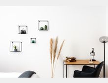 Minimalistisch eingerichtetes Zimmer mit weißer Wand, an der kleine schwarze Wandregale mit dekorativen Pflanzen und Accessoires angebracht sind. Rechts stehen ein Holzschreibtisch mit Büchern, einer Tischlampe und einem Stuhl sowie eine Stehlampe; im Vordergrund Pampasgras in einer Vase.