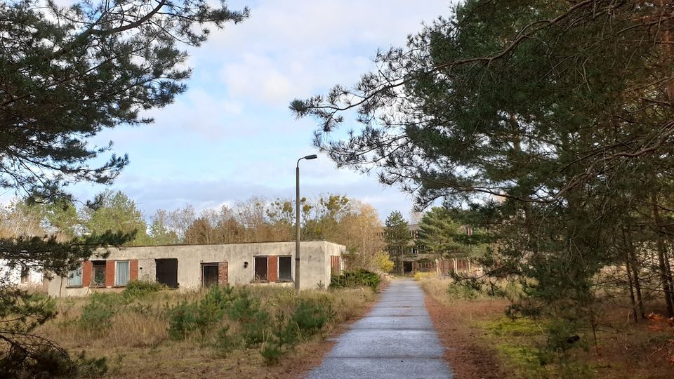 Ein schmaler, asphaltierter Weg führt durch eine bewaldete Umgebung mit Kiefern und niedriger Vegetation. Auf der linken Seite des Bildes stehen verlassene, flache Betongebäude mit leeren Fensteröffnungen und teils verrosteten Elementen.