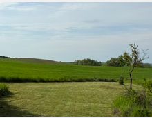 Weite Landschaft mit grünen Wiesen, sanften Hügeln im Hintergrund und vereinzelten Bäumen am Rand. Der Himmel ist leicht bewölkt, und das Gras im Vordergrund wirkt frisch gemäht.