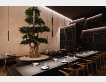 Modernes Restaurant mit minimalistischer Einrichtung, dunklen Holzmöbeln und schlichten schwarzen Tischen. Im Zentrum des Raumes steht ein großer Bonsai-Baum in einem Kiesbett, umgeben von hängenden, schmalen Deckenleuchten.